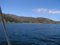 opt 019.jpg